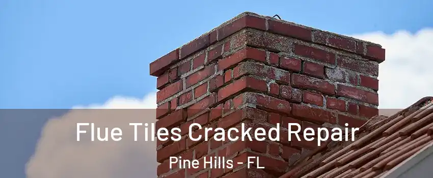  Flue Tiles Cracked Repair Pine Hills - FL