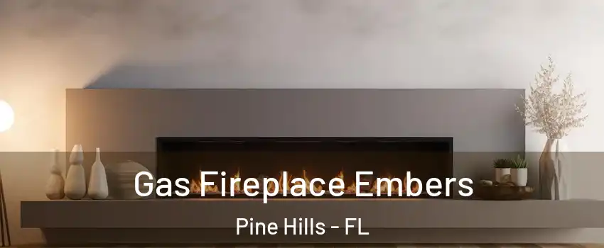  Gas Fireplace Embers Pine Hills - FL
