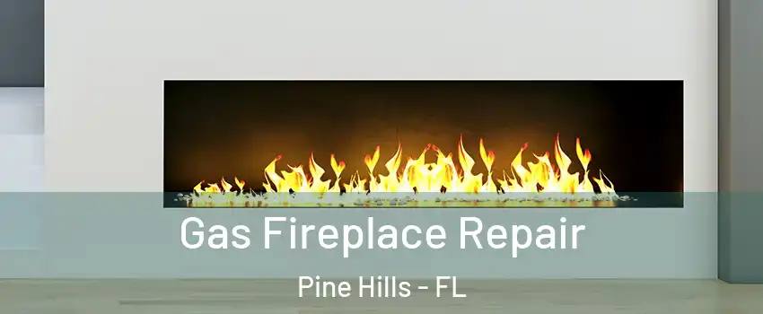  Gas Fireplace Repair Pine Hills - FL