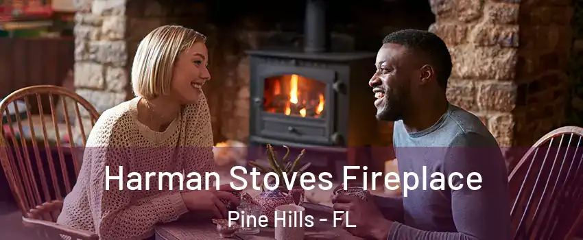  Harman Stoves Fireplace Pine Hills - FL