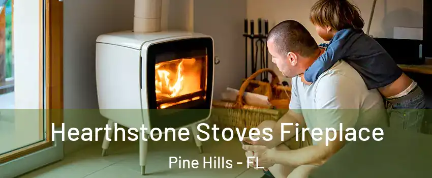  Hearthstone Stoves Fireplace Pine Hills - FL