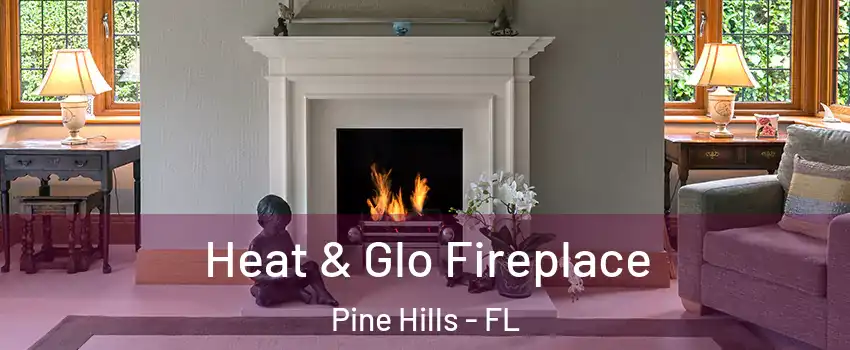  Heat & Glo Fireplace Pine Hills - FL