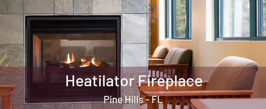  Heatilator Fireplace Pine Hills - FL