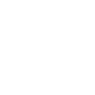 Professional Chimney Flue Installation in Pine Hills, Florida