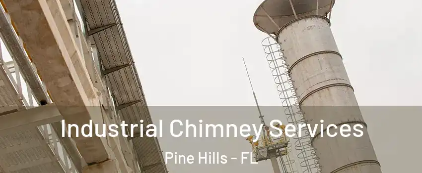  Industrial Chimney Services Pine Hills - FL