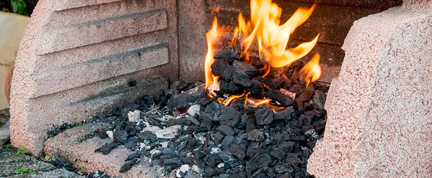 Remove Creosote From Brick in Pine Hills, FL