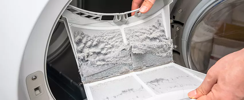Best Dryer Lint Removal Company in Pine Hills, Florida