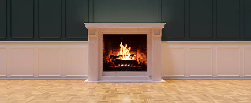 Napoleon Electric Fireplaces Inspection Service in Pine Hills, Florida