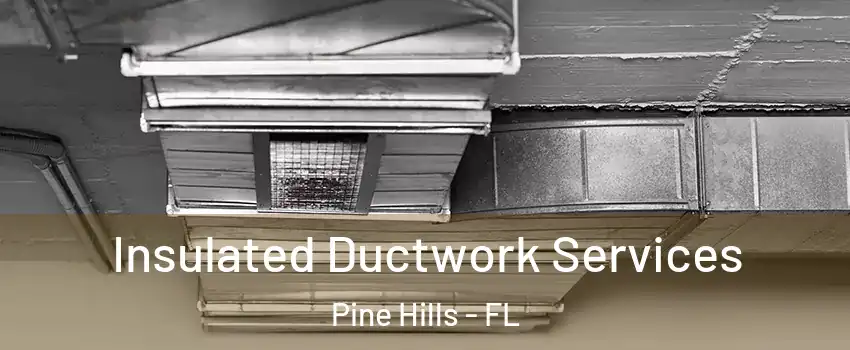  Insulated Ductwork Services Pine Hills - FL