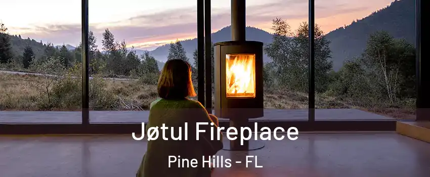  Jøtul Fireplace Pine Hills - FL