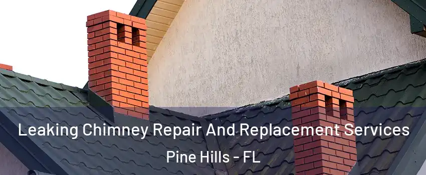  Leaking Chimney Repair And Replacement Services Pine Hills - FL