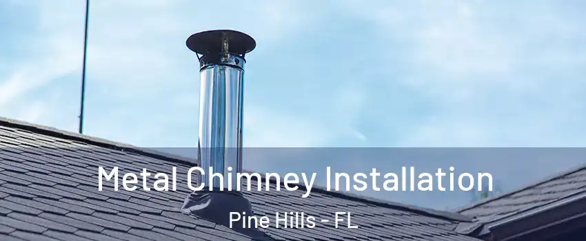  Metal Chimney Installation Pine Hills - FL