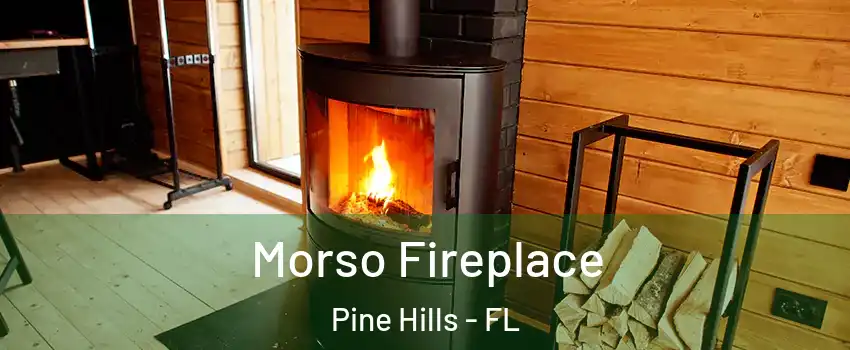  Morso Fireplace Pine Hills - FL