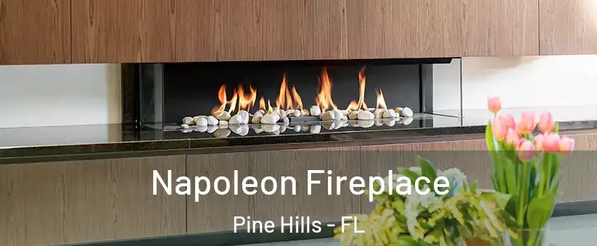  Napoleon Fireplace Pine Hills - FL