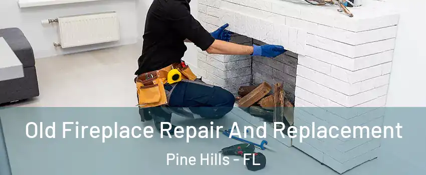  Old Fireplace Repair And Replacement Pine Hills - FL