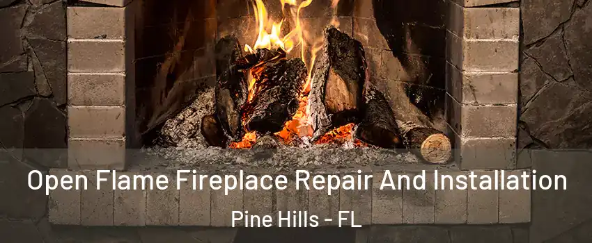  Open Flame Fireplace Repair And Installation Pine Hills - FL