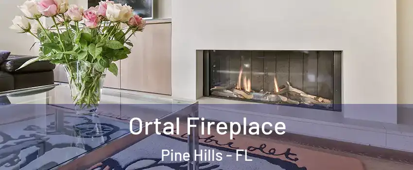 Ortal Fireplace Pine Hills - FL