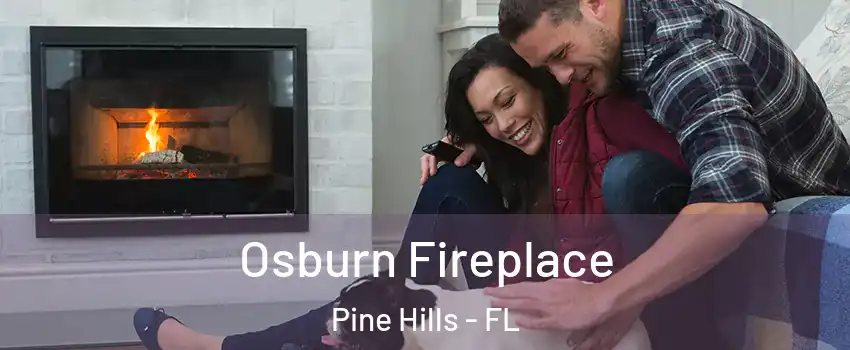  Osburn Fireplace Pine Hills - FL