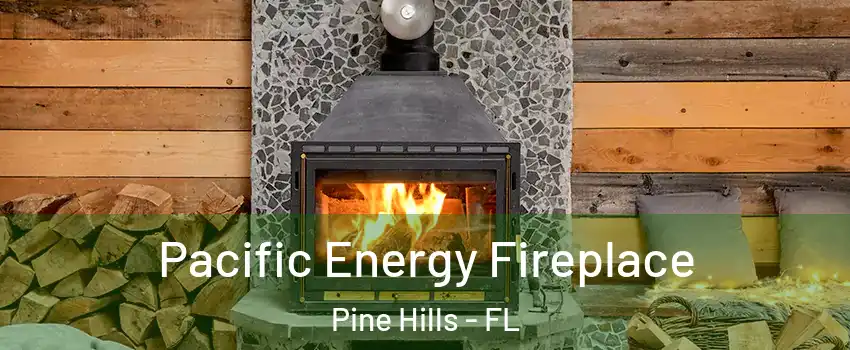  Pacific Energy Fireplace Pine Hills - FL