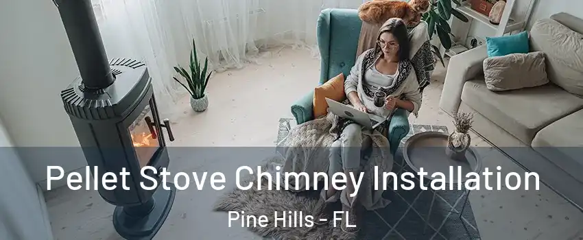  Pellet Stove Chimney Installation Pine Hills - FL