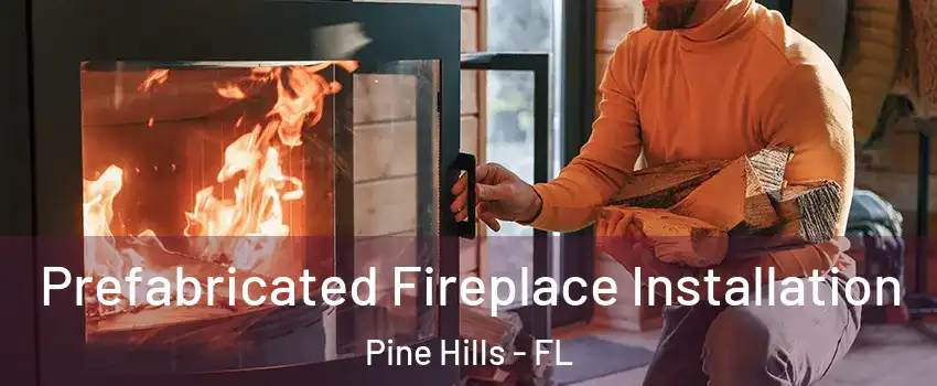  Prefabricated Fireplace Installation Pine Hills - FL