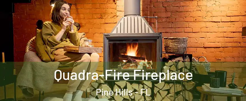  Quadra-Fire Fireplace Pine Hills - FL