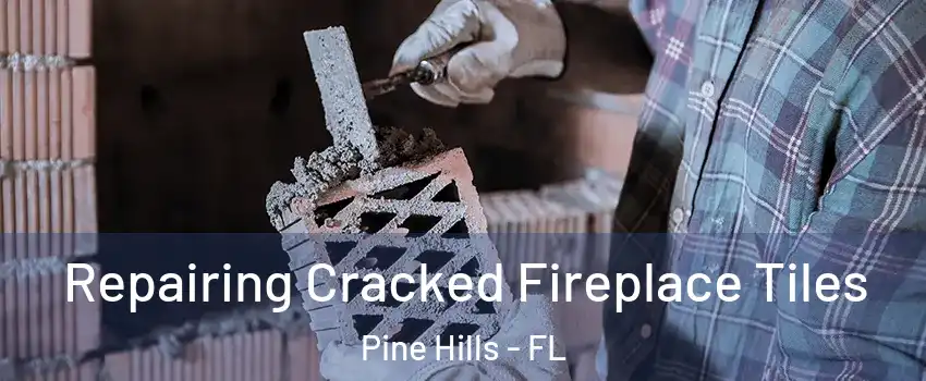  Repairing Cracked Fireplace Tiles Pine Hills - FL