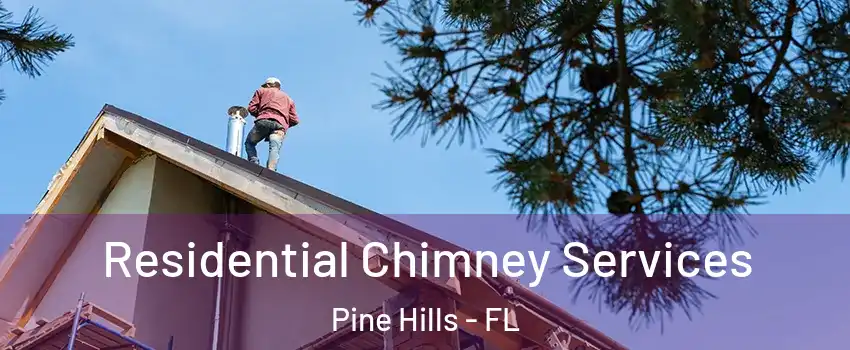  Residential Chimney Services Pine Hills - FL