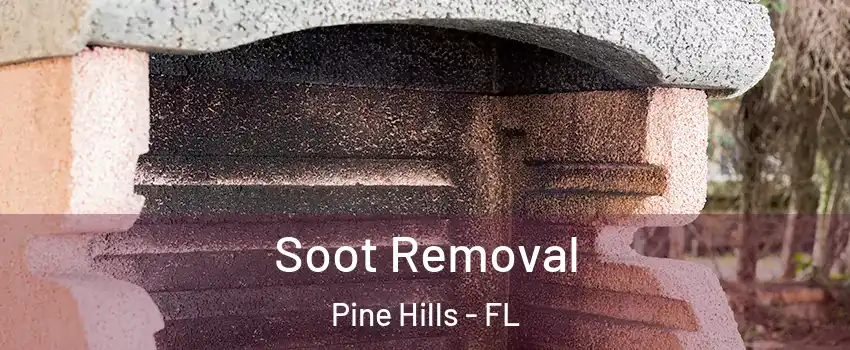  Soot Removal Pine Hills - FL