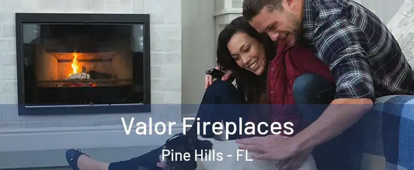  Valor Fireplaces Pine Hills - FL