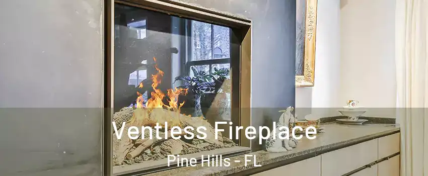  Ventless Fireplace Pine Hills - FL