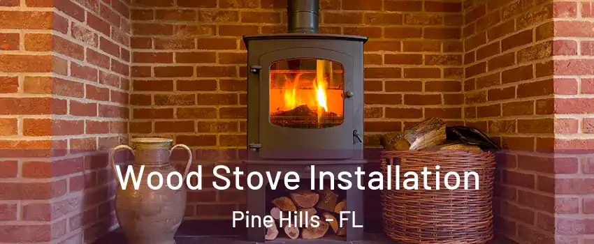  Wood Stove Installation Pine Hills - FL